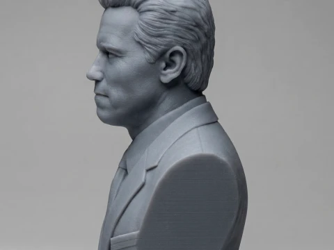 Arnold Schwarzenegger 3D Printable 3D Print Model