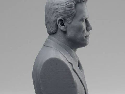 Arnold Schwarzenegger 3D Printable 3D Print Model