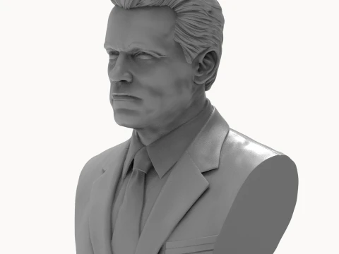 Arnold Schwarzenegger 3D Printable 3D Print Model