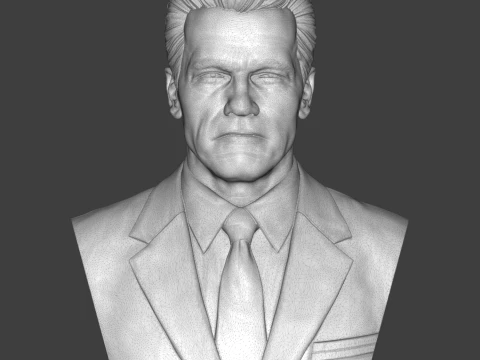 Arnold Schwarzenegger 3D Printable 3D Print Model