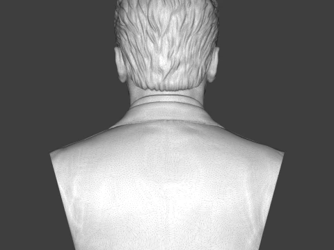 Arnold Schwarzenegger 3D Printable 3D Print Model