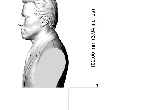 Arnold Schwarzenegger 3D Printable 3D Print Model
