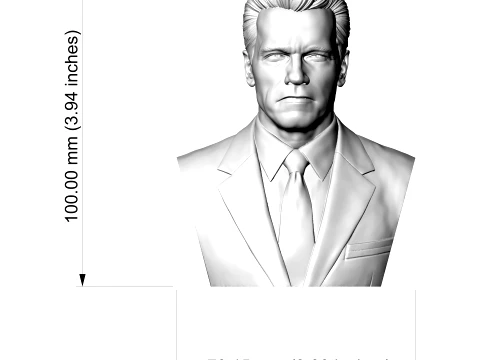 Arnold Schwarzenegger 3D Printable 3D Print Model