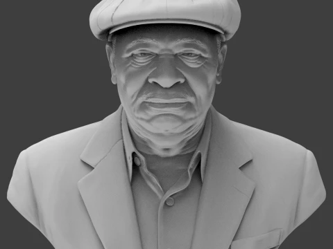 B B King Legendary Blues Musician Bust 3D Print Model 3D Print Model