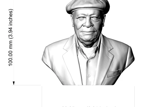 B B King Legendary Blues Musician Bust 3D Print Model 3D Print Model