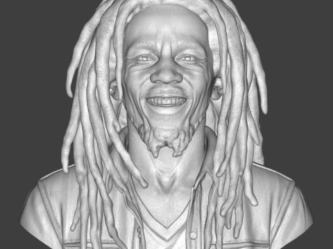 Bob Marley 3D Printable Bust 3D Print Model