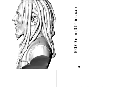 Bob Marley 3D Printable Bust 3D Print Model