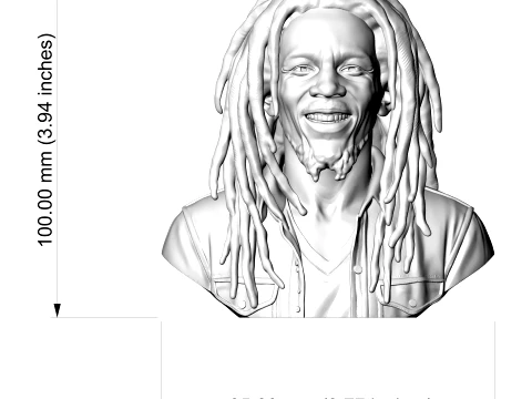 Bob Marley 3D Printable Bust 3D Print Model