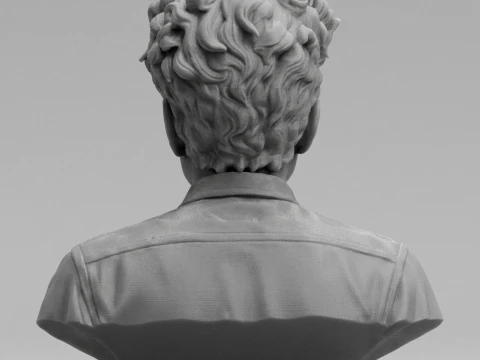 Dylan Folk Music Icon Bust 3D Print Model 3D Print Model