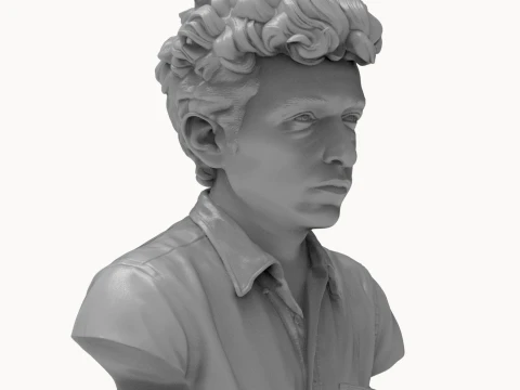 Dylan Folk Music Icon Bust 3D Print Model 3D Print Model