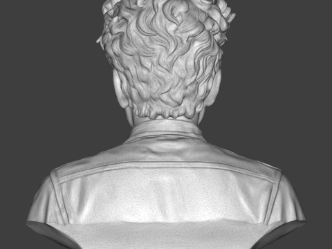Dylan Folk Music Icon Bust 3D Print Model 3D Print Model