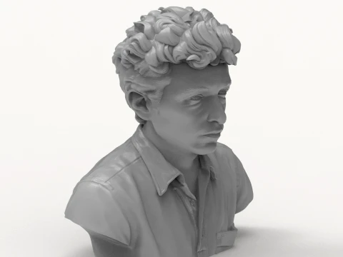 Dylan Folk Music Icon Bust 3D Print Model 3D Print Model