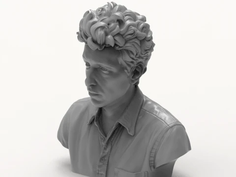Dylan Folk Music Icon Bust 3D Print Model 3D Print Model
