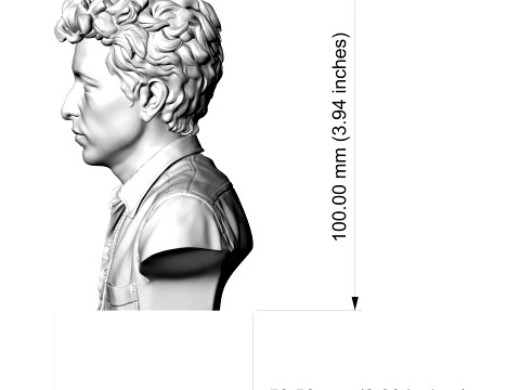 Dylan Folk Music Icon Bust 3D Print Model 3D Print Model