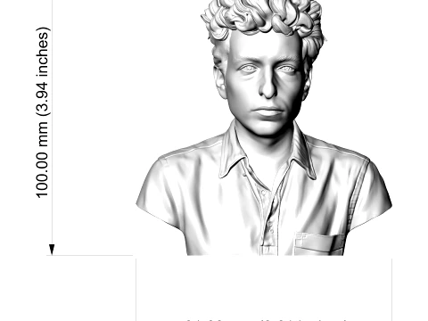 Dylan Folk Music Icon Bust 3D Print Model 3D Print Model