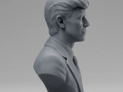 David Bowie 3D Printable Bust 3D Print Model