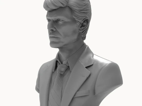 David Bowie 3D Printable Bust 3D Print Model