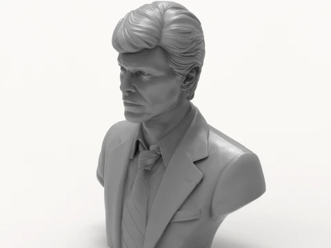 David Bowie 3D Printable Bust 3D Print Model