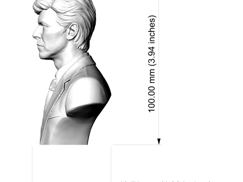 David Bowie 3D Printable Bust 3D Print Model