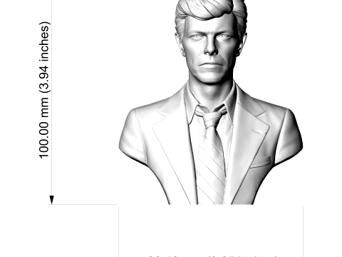 David Bowie 3D Printable Bust 3D Print Model