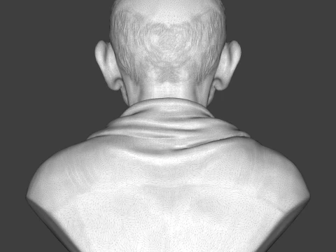 Mahatma Gandhi Realistic 3D Printable Bust 3D Print Model