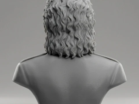 Michael Jackson 3D Printable Bust 3D Print Model
