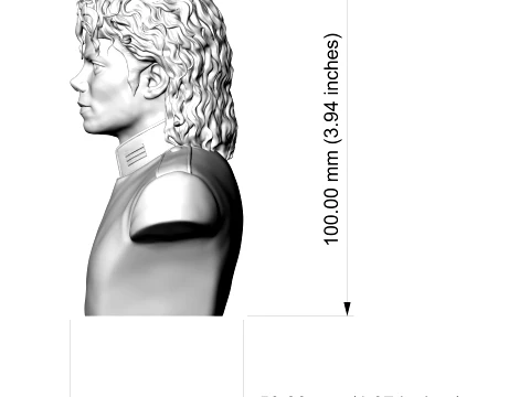 Michael Jackson 3D Printable Bust 3D Print Model