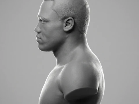 Joe Frazier 3D Printable Bust 3D Print Model