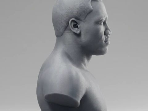 Joe Frazier 3D Printable Bust 3D Print Model