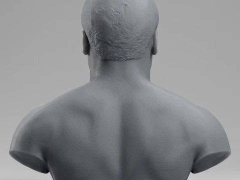 Joe Frazier 3D Printable Bust 3D Print Model