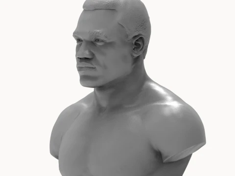 Joe Frazier 3D Printable Bust 3D Print Model