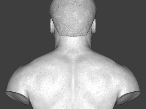 Joe Frazier 3D Printable Bust 3D Print Model