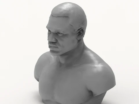 Joe Frazier 3D Printable Bust 3D Print Model