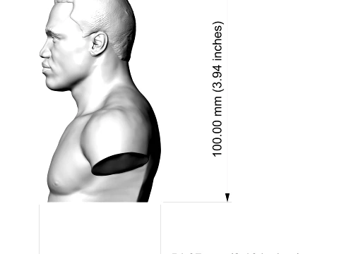 Joe Frazier 3D Printable Bust 3D Print Model