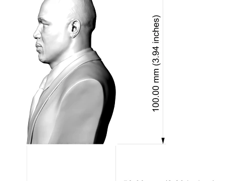 Lennox Lewis 3D Printable Bust Free 3D Print Model