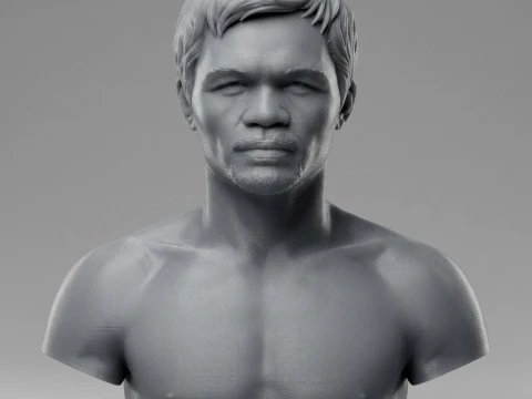 Manny Pacquiao 3D Printable Bust 3D Print Model