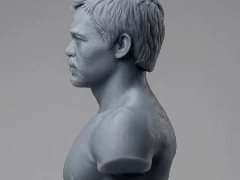 Manny Pacquiao 3D Printable Bust 3D Print Model