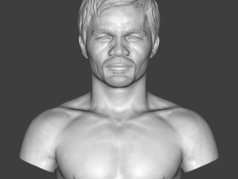 Manny Pacquiao 3D Printable Bust 3D Print Model