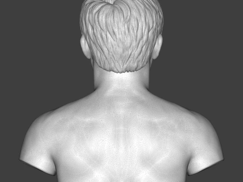 Manny Pacquiao 3D Printable Bust 3D Print Model