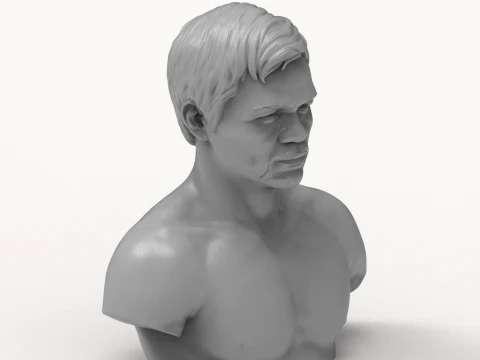 Manny Pacquiao 3D Printable Bust 3D Print Model