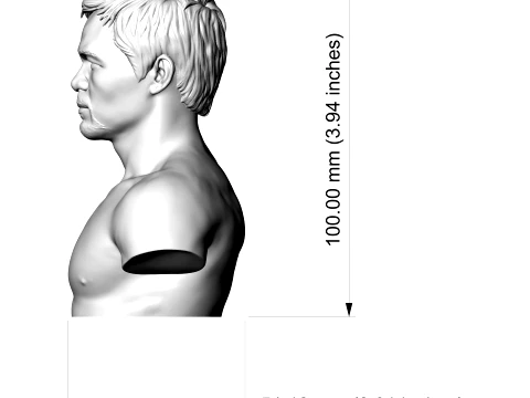 Manny Pacquiao 3D Printable Bust 3D Print Model