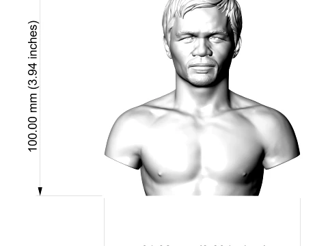Manny Pacquiao 3D Printable Bust 3D Print Model
