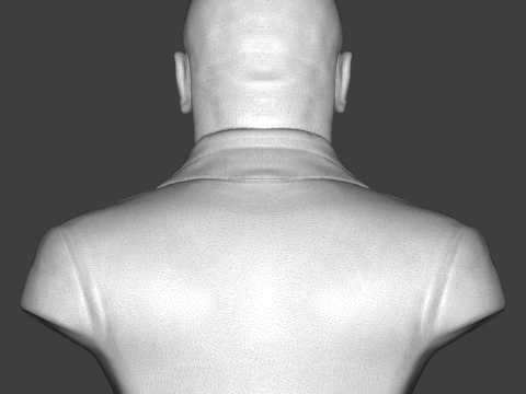 Mike Tyson 3D Printable Bust 3D print model 3D Print Model