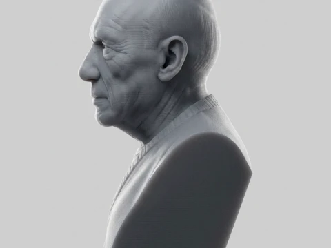 Pablo Picasso 3D Printable Bust 3D Print Model
