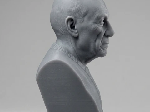 Pablo Picasso 3D Printable Bust 3D Print Model