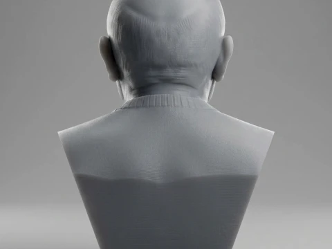 Pablo Picasso 3D Printable Bust 3D Print Model