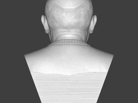 Pablo Picasso 3D Printable Bust 3D Print Model