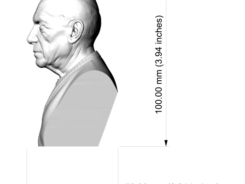 Pablo Picasso 3D Printable Bust 3D Print Model