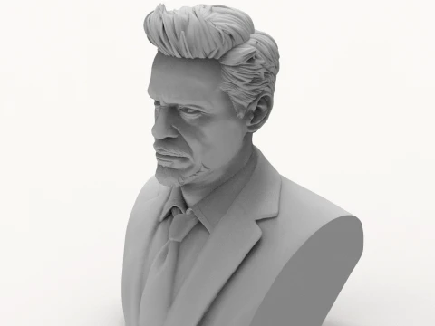 Robert Downey Jr 3D Printable Bust 3D Print Model