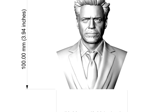 Robert Downey Jr 3D Printable Bust 3D Print Model